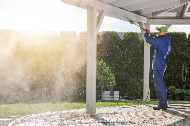 Best Solar Panel Cleaning  in Troy, IL